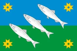 🌟 emoji Флаги всех поселений (Карелия) Telegram sticker 16 of 64