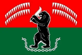 🌟 emoji Флаги всех поселений (Карелия) Telegram sticker 14 of 64