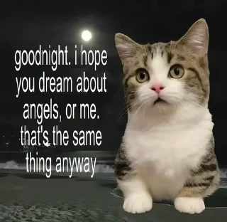 Sticker from Cats aww