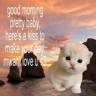 Sticker from Cats aww
