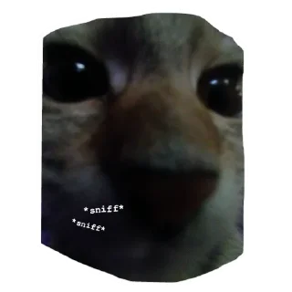 Sticker from Runa 🐾