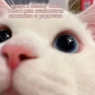 Пикчишки sticker 4