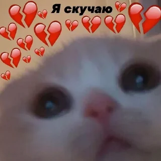 Пикчишки sticker 2