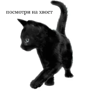 Sticker from ичо