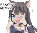 😑 emoji Tsundere Cat Girl Miyako Telegram sticker 12 of 40