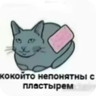 🐱 emoji курочкакакакака👶🏻 Telegram sticker 9 of 23