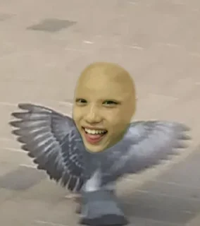 😝 emoji Скз как смысл жизни Telegram sticker 12 of 88