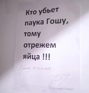 Sticker from коридорные