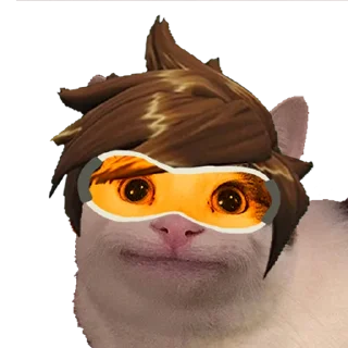 🏃‍♂️ emoji overwatch_cats_by_hella-saiko Telegram sticker 7 of 8