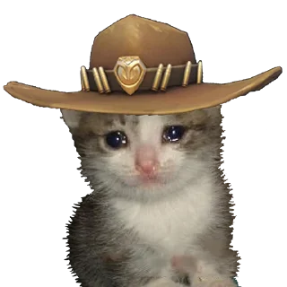 🤠 emoji overwatch_cats_by_hella-saiko Telegram sticker 4 of 8