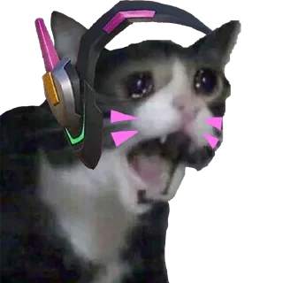 🎮 emoji overwatch_cats_by_hella-saiko Telegram sticker 2 of 8