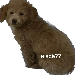 Sticker from Тимоха балбес