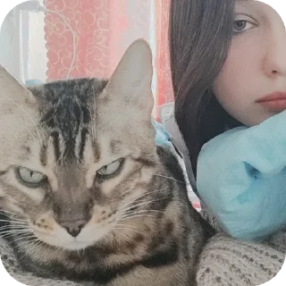 🐱 emoji никита среднячок Telegram sticker 11 of 47