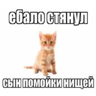 Sticker from Няшки