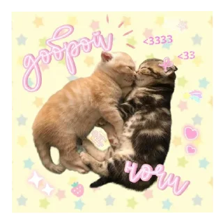 Sticker from 🎀