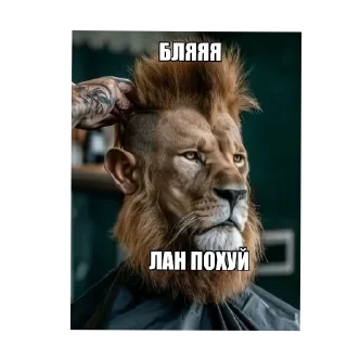 🤲 emoji Кто мать его создал этот стикерпак Telegram sticker 22 of 120