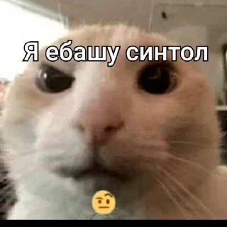 Sticker from На все случаи жизни