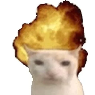 Sticker from мемы на все случаи жизни
