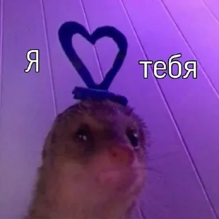 Sticker from мемы на все случаи жизни
