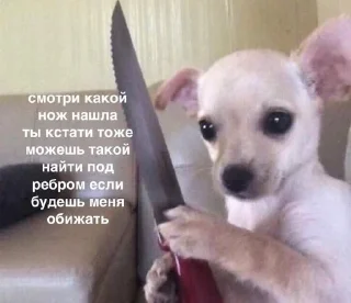 Sticker from На случай важных переговоров