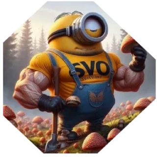 Sticker from SVO
