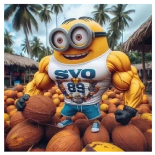 Sticker from SVO