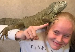 🦎 emoji крысы новокосино😎 Telegram sticker 14 of 50