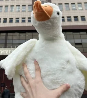 🐥 emoji крысы новокосино😎 Telegram sticker 4 of 50