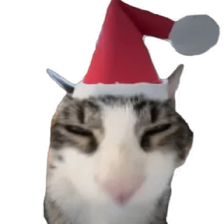 🎄 emoji Video Favorite stickers Telegram sticker 23 of 25