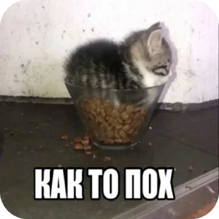 Sticker from завозик