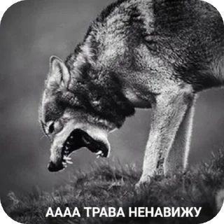 Sticker from Мы армяне