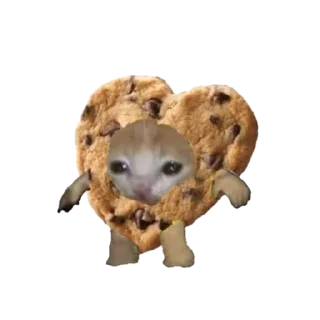 🍪 emoji food cats Telegram sticker 8 of 20