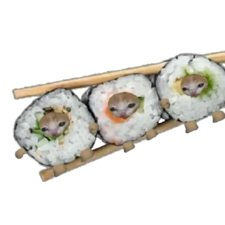 🍱 emoji food cats Telegram sticker 19 of 20