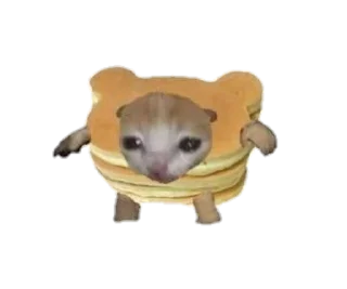 🥞 emoji food cats Telegram sticker 13 of 20