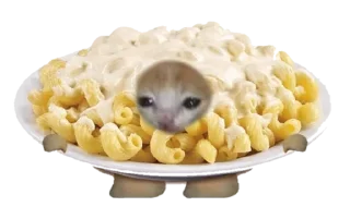 food cats sticker 4