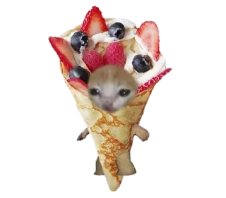 🍦 emoji food cats Telegram sticker 12 of 20