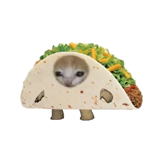🌮 emoji food cats Telegram sticker 16 of 20