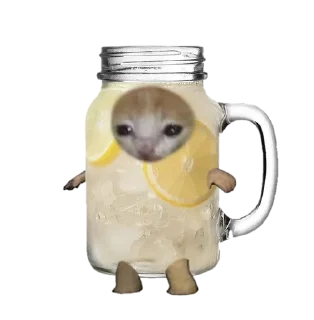 🧋 emoji food cats Telegram sticker 11 of 20