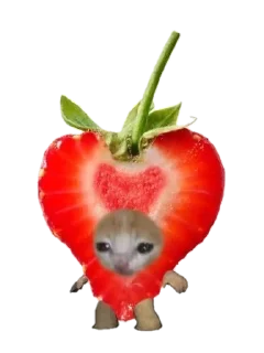 💗 emoji food cats Telegram sticker 14 of 20