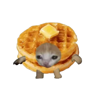 🧇 emoji food cats Telegram sticker 5 of 20