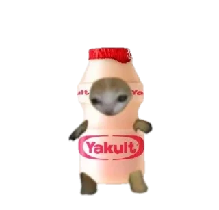 🍼 emoji food cats Telegram sticker 7 of 20