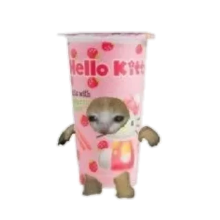 🥤 emoji food cats Telegram sticker 9 of 20