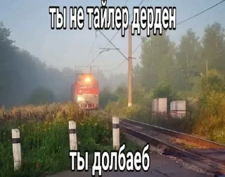 Sticker from Трамп лох(By @bvv_dwt)