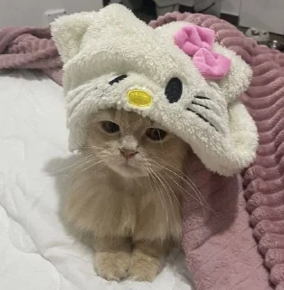 киты 1.0 🐈‍⬛ sticker 4