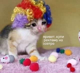 Sticker from Мама, Я Админ | @EKorjikov_Blog