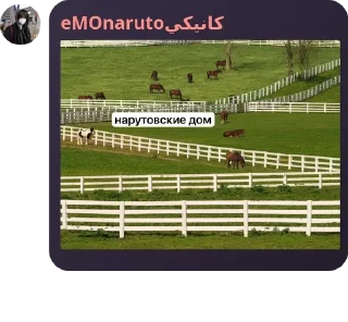 Sticker from стая нарутовские pack by @QuotLyBot