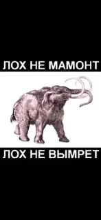 Sticker from Негры