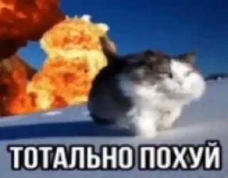 Sticker from От паяльника ➡️ @Ctikerubot