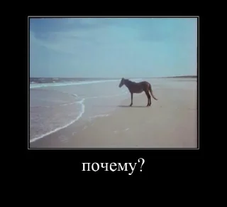 Sticker from Моль