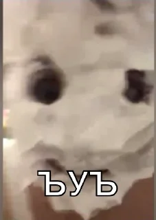 Sticker from Даша легенда
